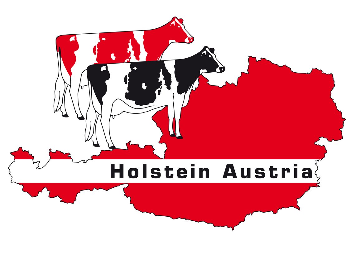 Holstein_Austria_ill_ud_2015_ohne_HG