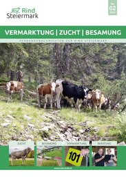 VZB_02-26