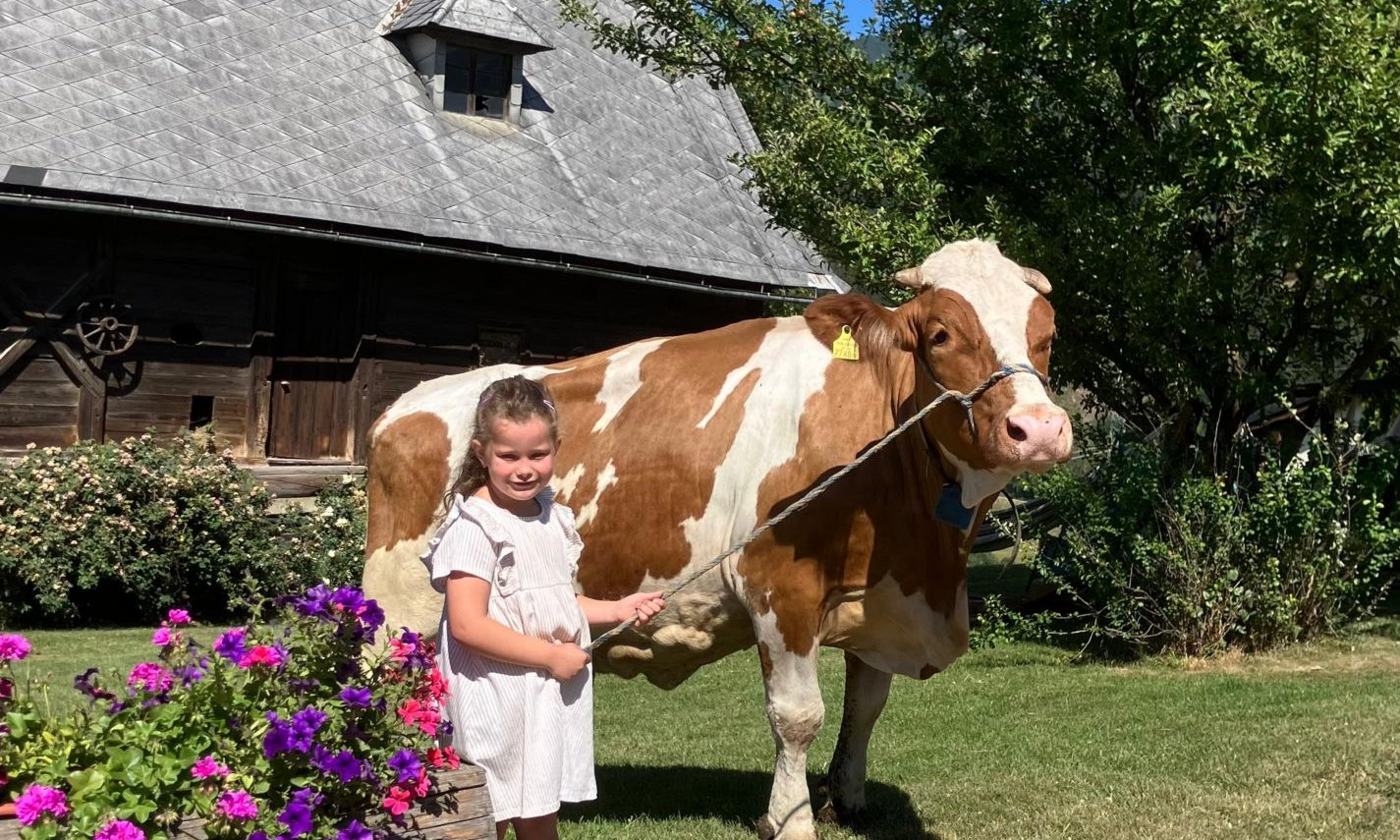 Bischof_priv_AT_46_7748_928_Fanny